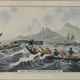 19th-century whaling. (Circa 1852)